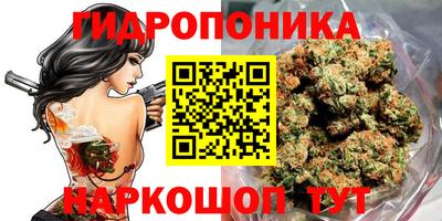 круглые Новозыбков