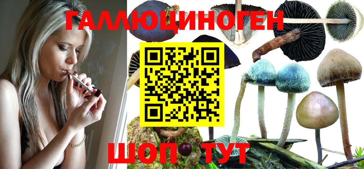 Морозовск  Галлюциногенные грибы Psilocybine cubensis  купить наркотики сайты  Вход с VPN 